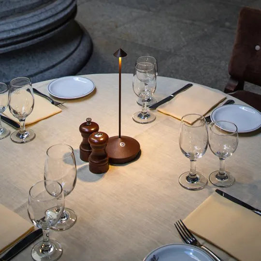 Lampe de table LED sans fil dimmable et étanche pour intérieur et extérieur